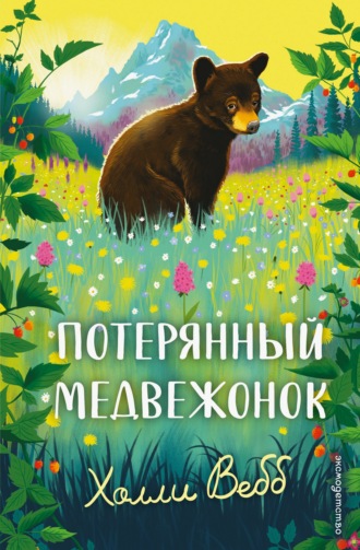 Потерянный медвежонок. Холли Вебб