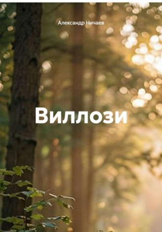 Александр Васильевич Ничаев. Виллози