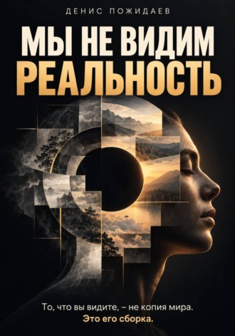 Мы не видим реальность. Денис Пожидаев