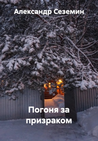 Александр Сеземин. Погоня за призраком в метель