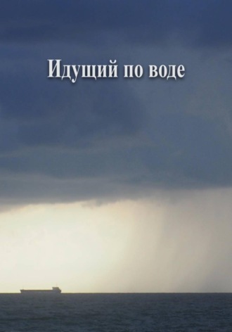 Идущий по воде. Владимир Владимирович Нефедов