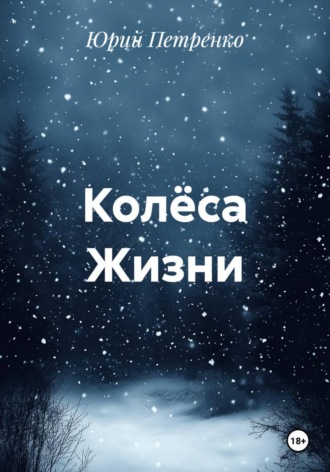 Юрий Васильевич Петренко. Колёса Жизни