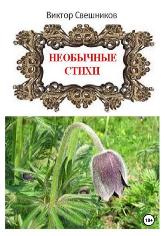 Виктор Иванович Свешников. Необычные стихи