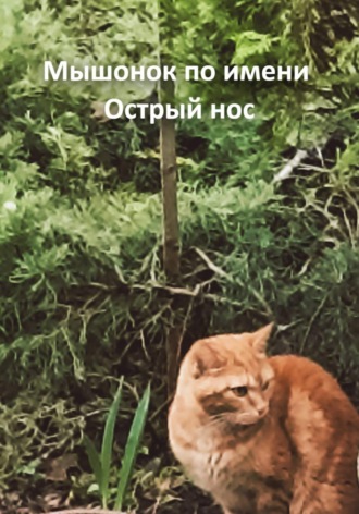 Владимир Владимирович Нефедов. Мышонок по имени Острый нос