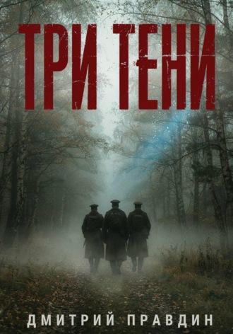 Дмитрий Правдин. Три тени