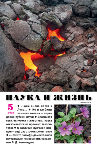 . Наука и жизнь №05/2026