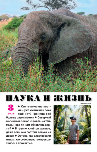 . Наука и жизнь №08/2026