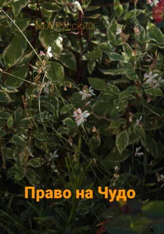Марат Русский. Право на чудо