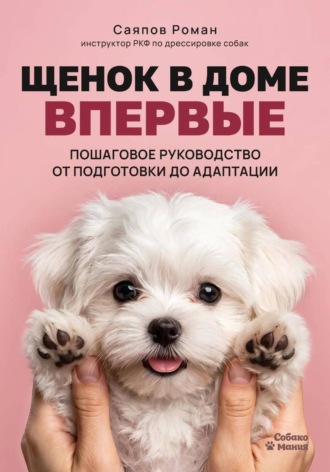 Щенок в доме впервые: пошаговое руководство от подготовки до адаптации. 