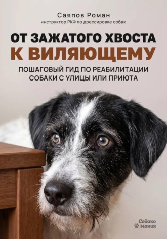 «От зажатого хвоста к виляющему: пошаговый гид по реабилитации собаки с улицы или приюта. 