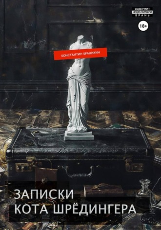Константин Брацихин. Записки кота Шрёдингера