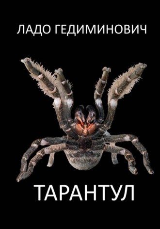 ТАРАНТУЛ. Ладо Гедиминович
