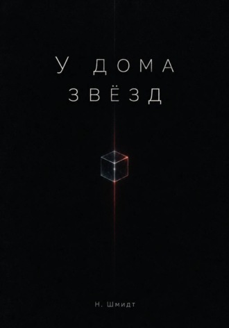 Н Шмидт. У дома звёзд