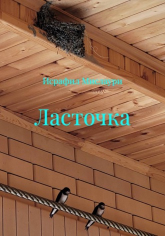 Ласточка. Исрафил Мислаури