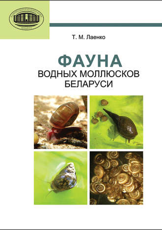 Т. М. Лаенко. Фауна водных моллюсков Беларуси