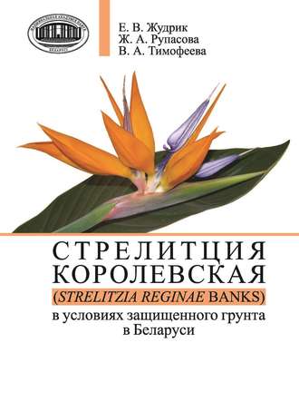 Ж. А. Рупасова. Стрелитция королевская (Strelitzia reginae Banks) в условиях защищенного грунта в Беларуси