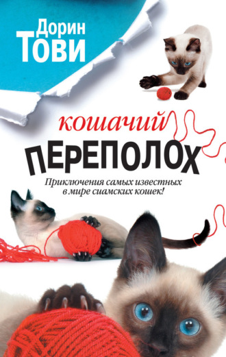 Кошачий переполох (сборник). Дорин Тови