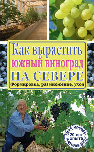 Юрий Загвоздин. Как вырастить южный виноград на севере