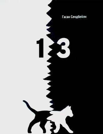 13 (сборник). Гасан Сеидбейли II