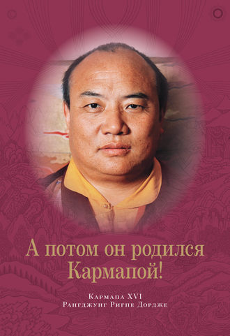 А потом он родился Кармапой!. Рангджунг Ригпе Дордже Кармапа XVI