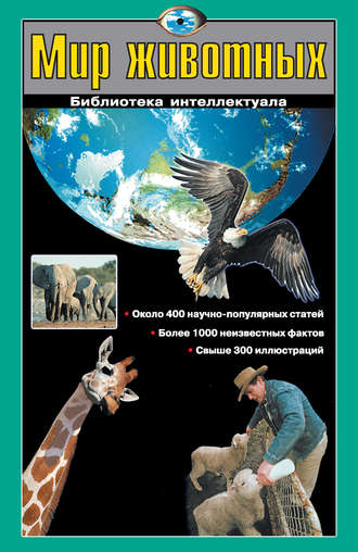 Г. П. Шалаева. Мир животных
