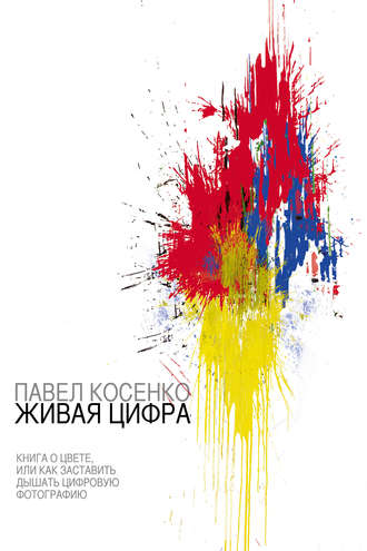 Живая цифра. Павел Косенко