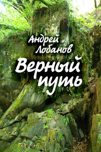 Верный путь. 