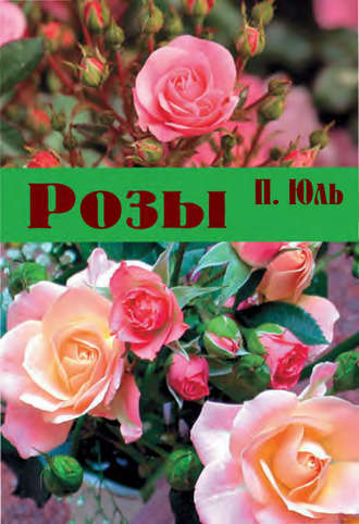 П. П. Юль. Розы