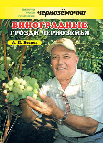 А. П. Безяев. Виноградные грозди Черноземья