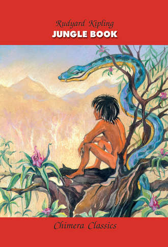 Jungle Book / Книга джунглей. 