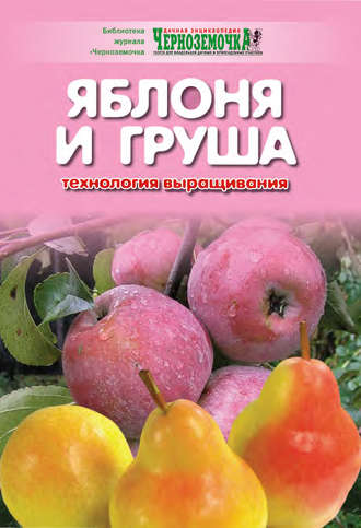 Группа авторов. Яблоня и груша. Технология выращивания