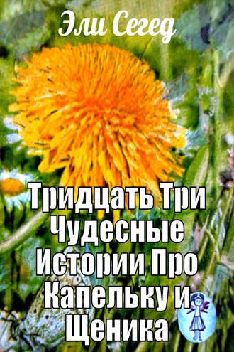 Тридцать три чудесные истории про Капельку и Щеника. Эли Сегед