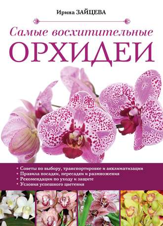 Ирина Зайцева. Самые восхитительные орхидеи