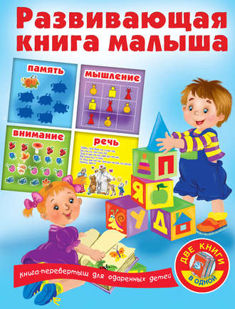 Развивающая книга малыша. 