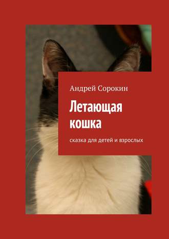 Андрей Сорокин. Летающая кошка. Сказка для детей и взрослых