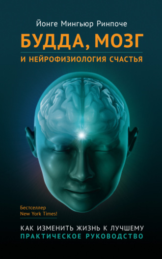 Будда, мозг и нейрофизиология счастья. Как изменить жизнь к лучшему. 