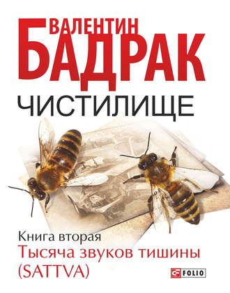 Валентин Бадрак. Чистилище. Книга 2. Тысяча звуков тишины (Sattva)