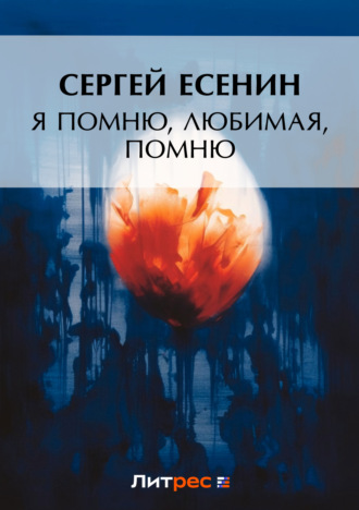 Я помню, любимая, помню…. 