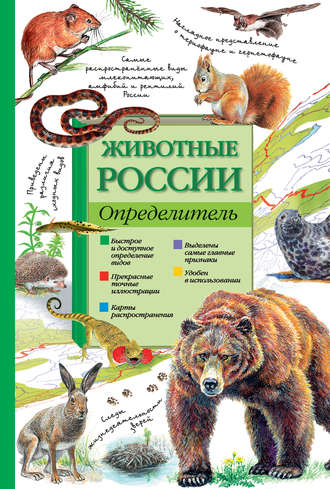 П. М. Волцит. Животные России. Определитель