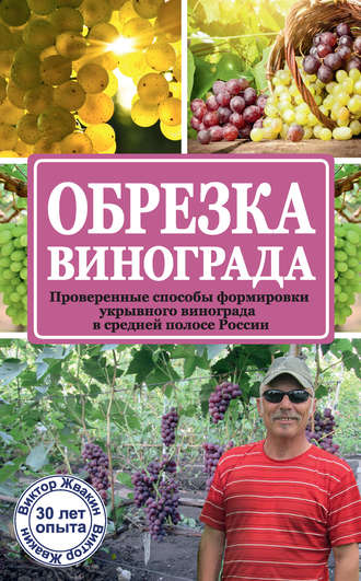 Виктор Жвакин. Обрезка винограда. Проверенные способы формировки укрывного винограда в средней полосе России